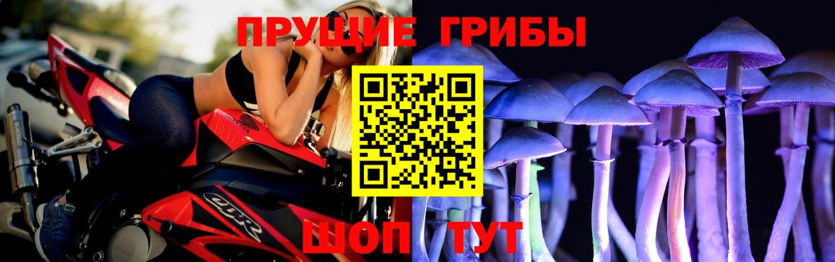Галлюциногенные грибы Psilocybe Туапсе
